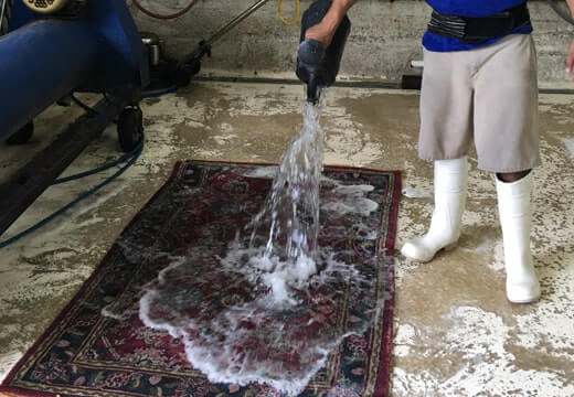 Area Rug Cleaning